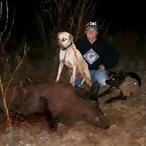 Meet your Posher, Laney